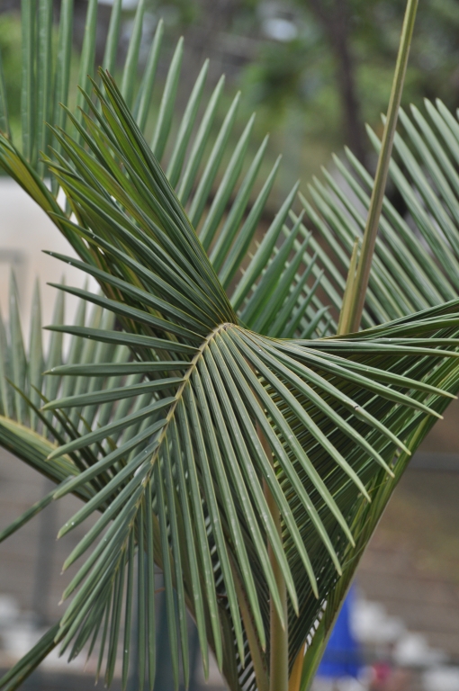 13 - Imagens do CEU.jpg